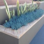 img-Sandstone Capping Planter Box