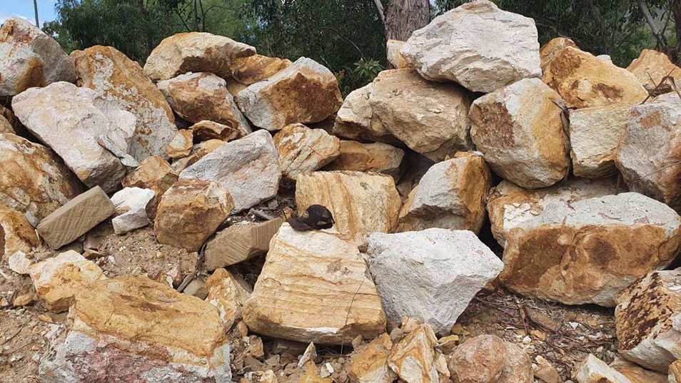 Queensland sandstone boulders used in landscape design